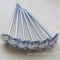 Polished Common Iron Nails 3 Inch for Construction